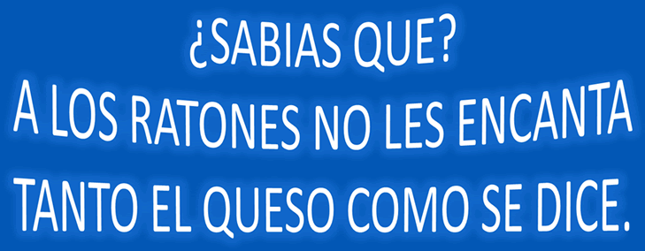 A los ratones no les gusta tanto el queso